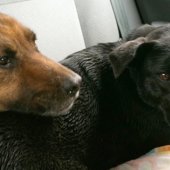 Meet your Posher, Redmontster. - Picture 2 of 15